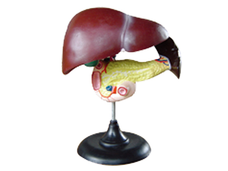 SD-093 33216ʮ֬cKģ